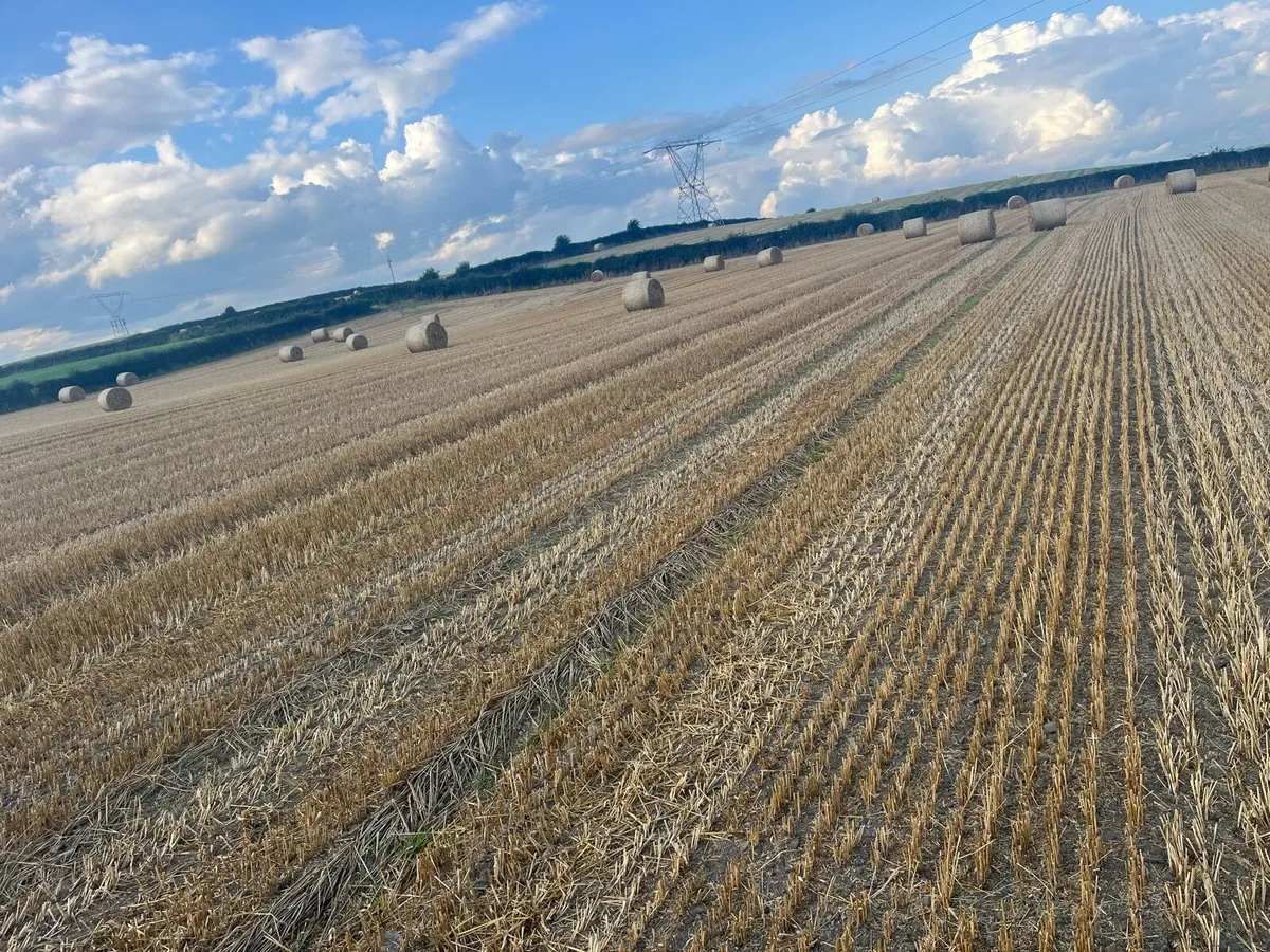 4x4 bales of oating straw - Image 4