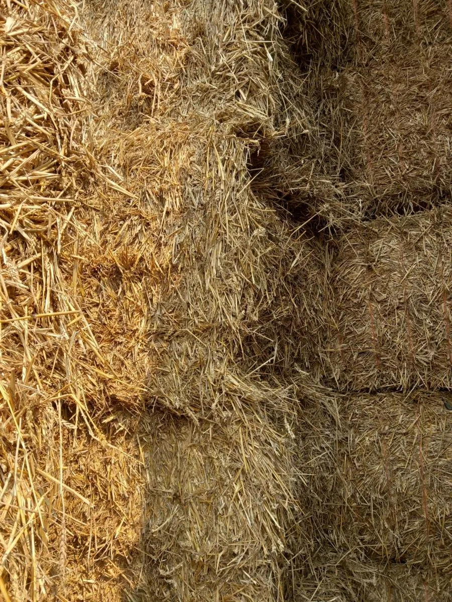 Wheaten straw - Image 2