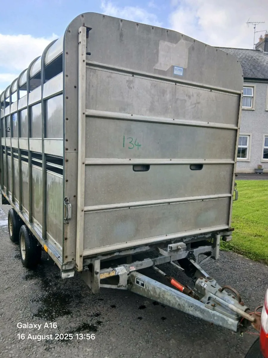 Ifor williams cattle trailer - Image 1