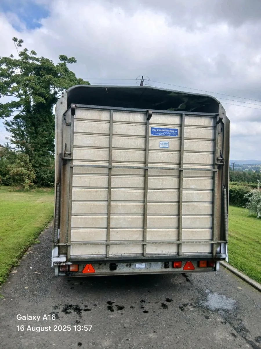 Ifor williams cattle trailer - Image 4