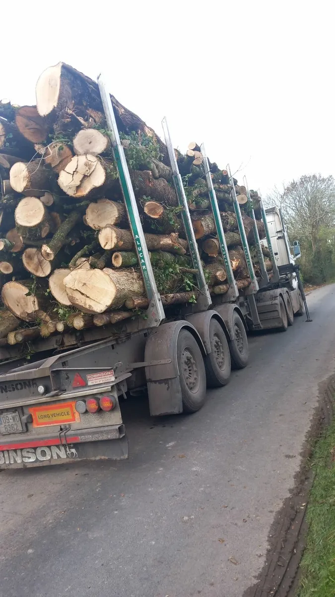 Firewood - Image 4