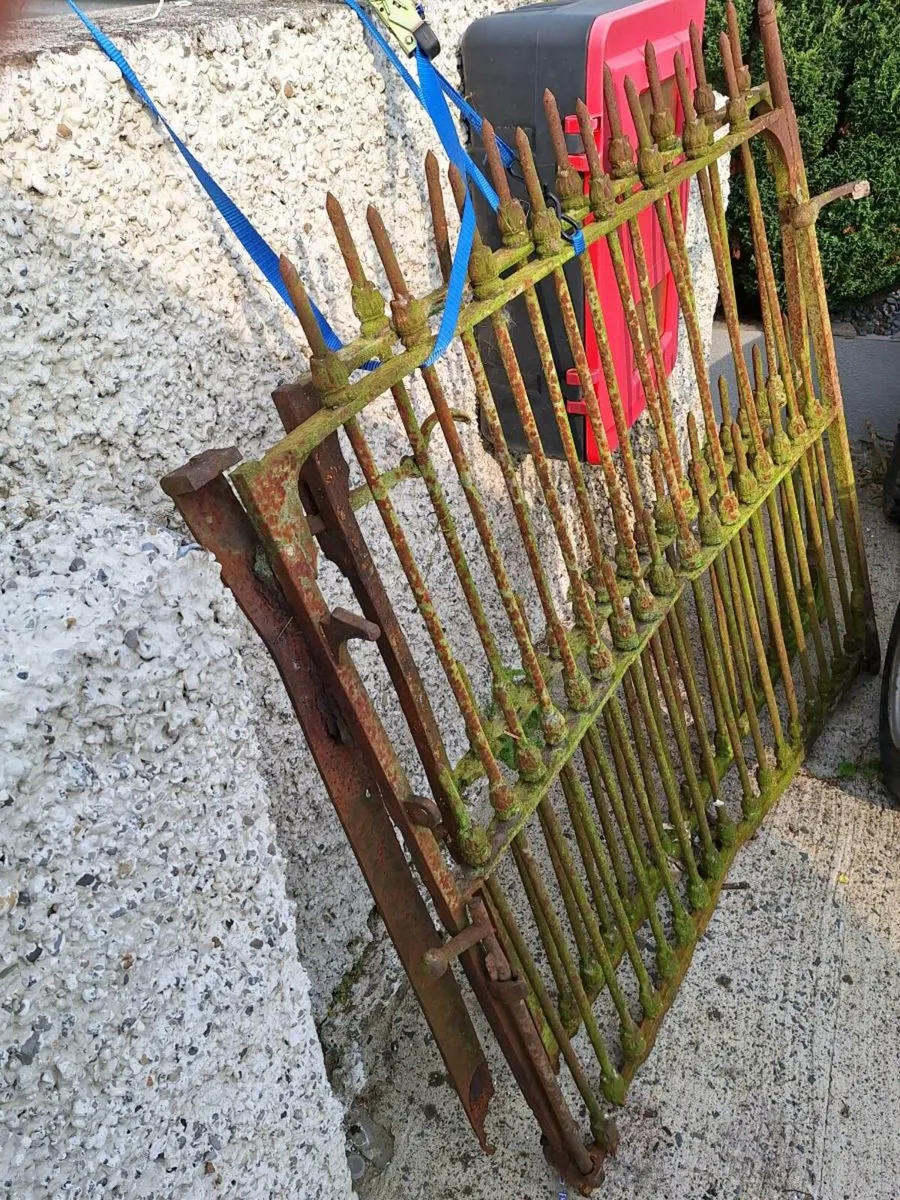 Very Old antake metal gates - Image 2