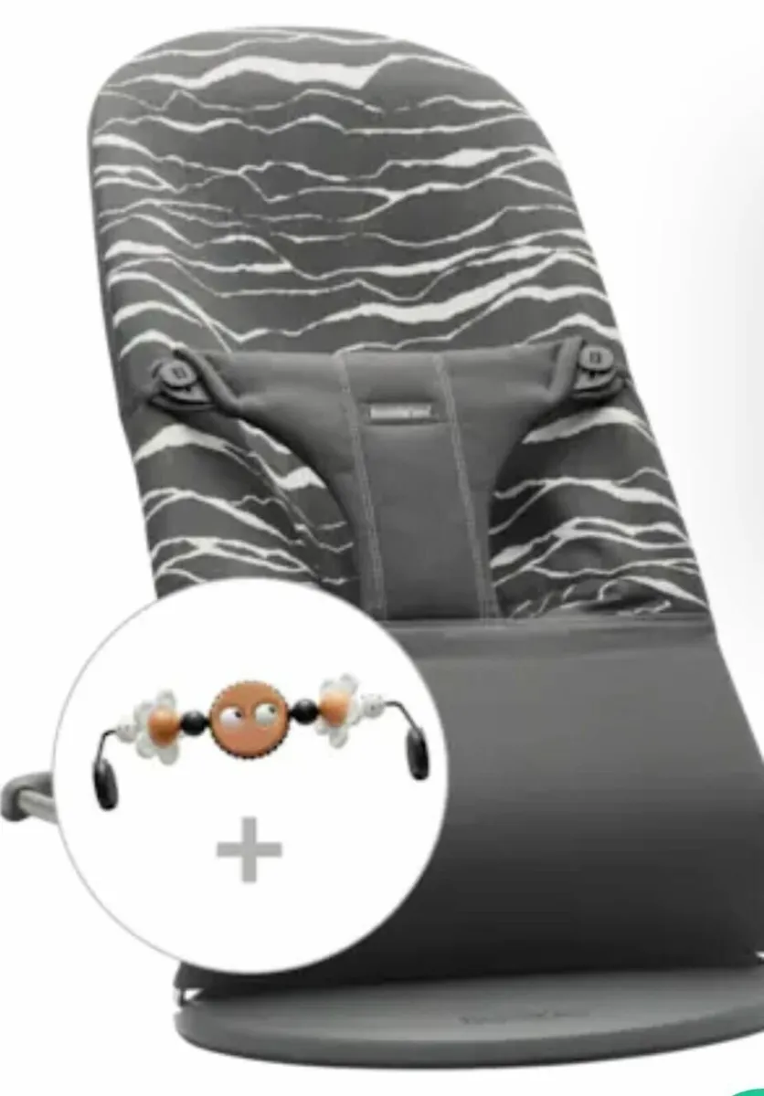 Baby Bjorn Bouncer with detachable toy