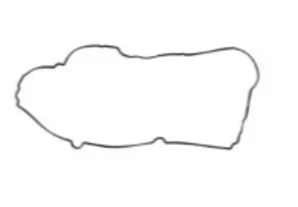 SCANIA ENGINE TIMING CASE GASKET (LEMA)