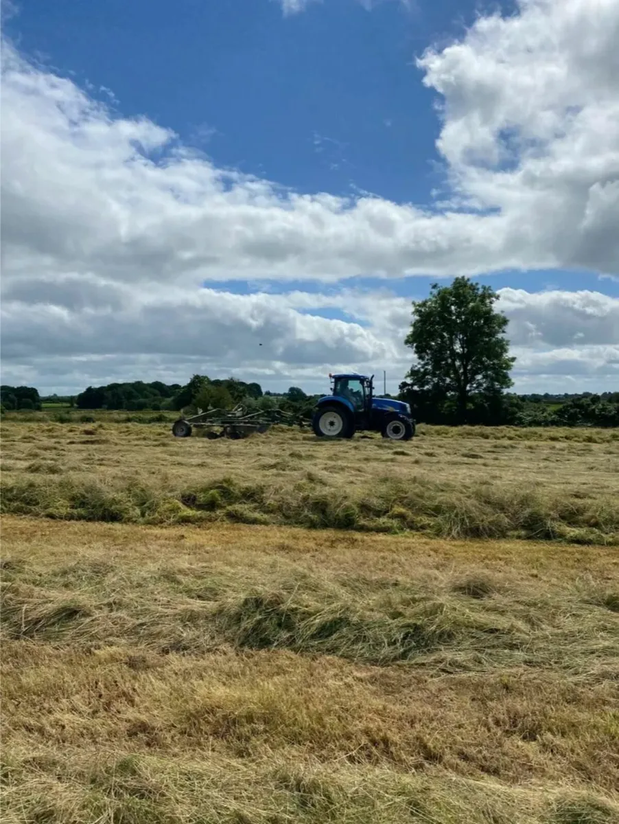 High-Quality Silage Bales – €29.99 Each - Image 2