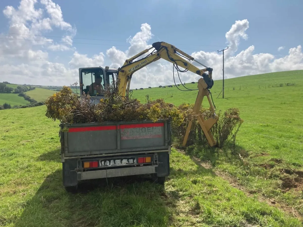 Ragwort Puller - Image 1