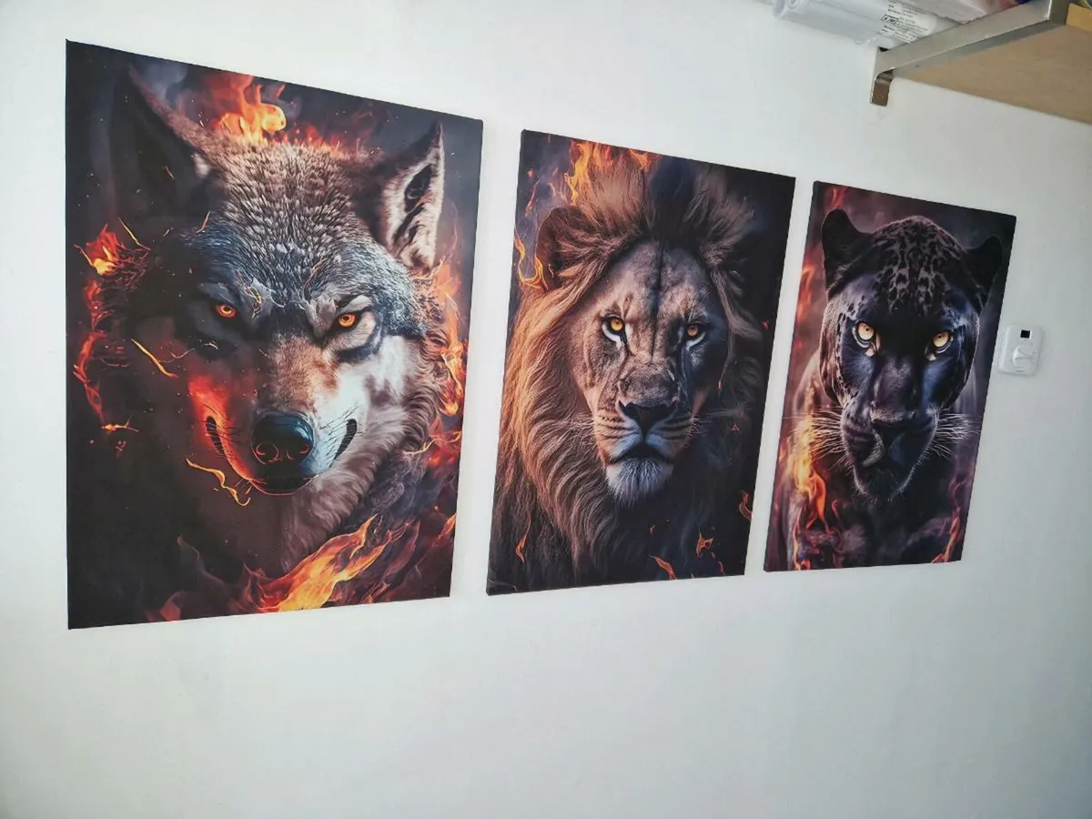 3 canvas 70 cm x 45 cm - Image 1