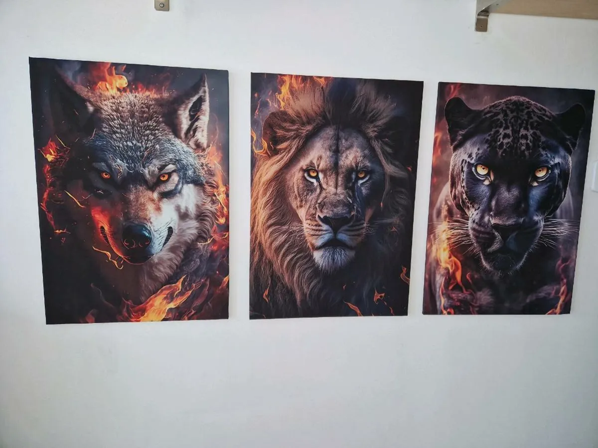 3 canvas 70 cm x 45 cm - Image 2