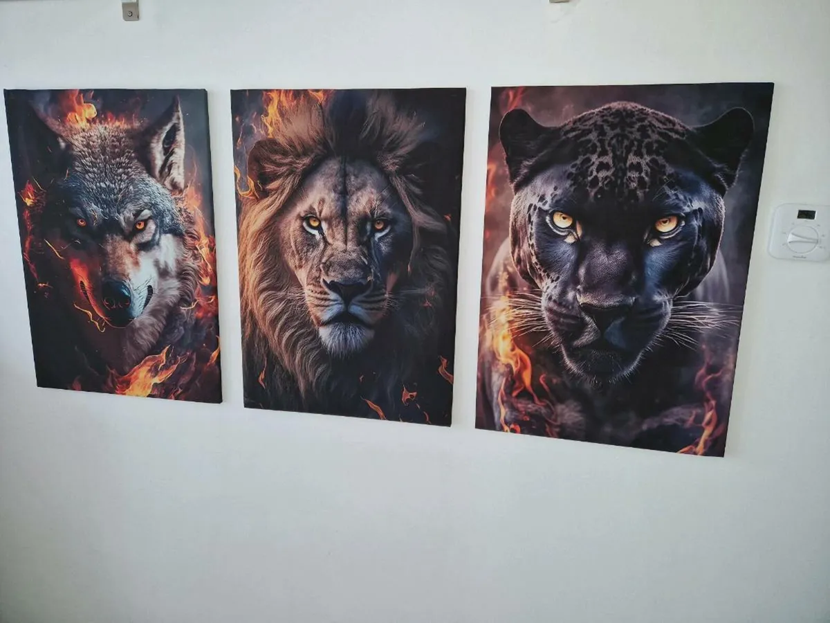3 canvas 70 cm x 45 cm - Image 3