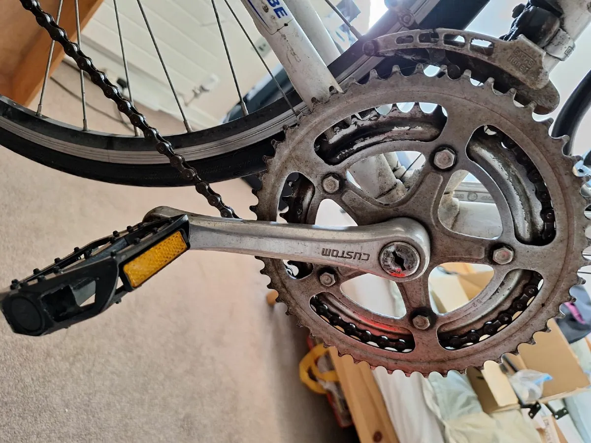 Raleigh Bike - Image 3
