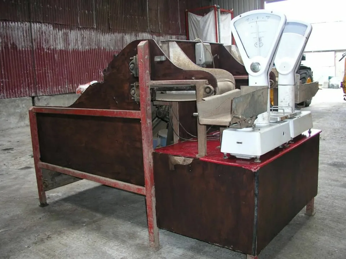 Potato PrePackers / Handling Equipment - Image 1