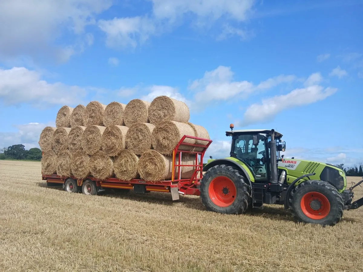 Wheaten Straw - Image 1