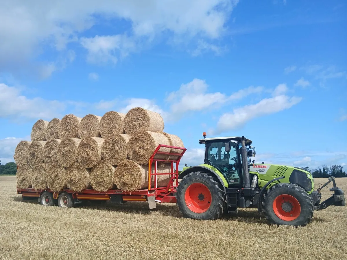 Wheaten Straw - Image 2