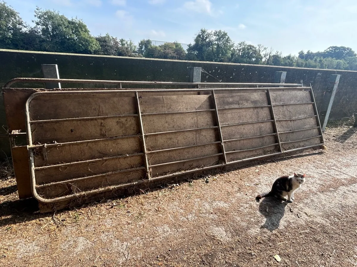 18ft gates