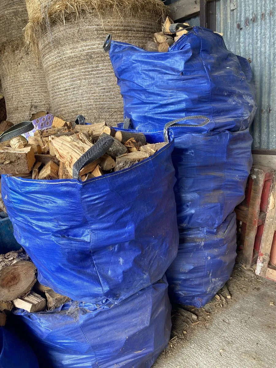 Firewood - Image 2