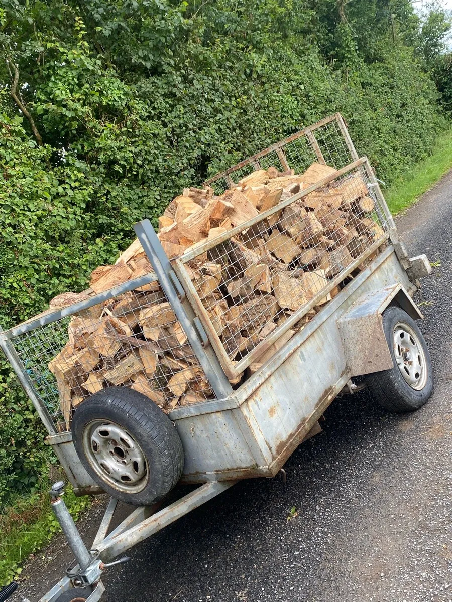 Firewood - Image 1