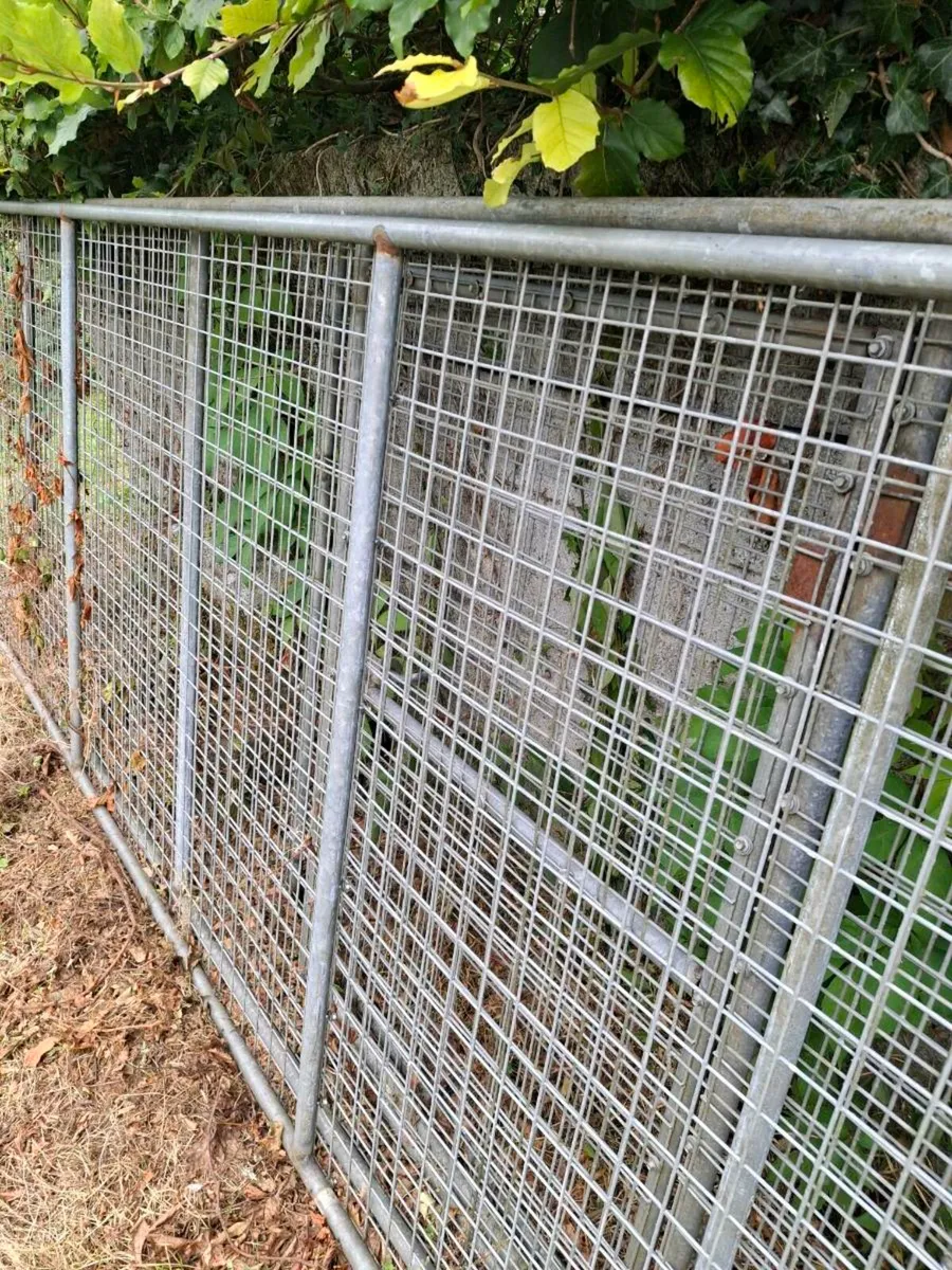 Galvanised Dog run 16 foot long by 8 ft wide - Image 2