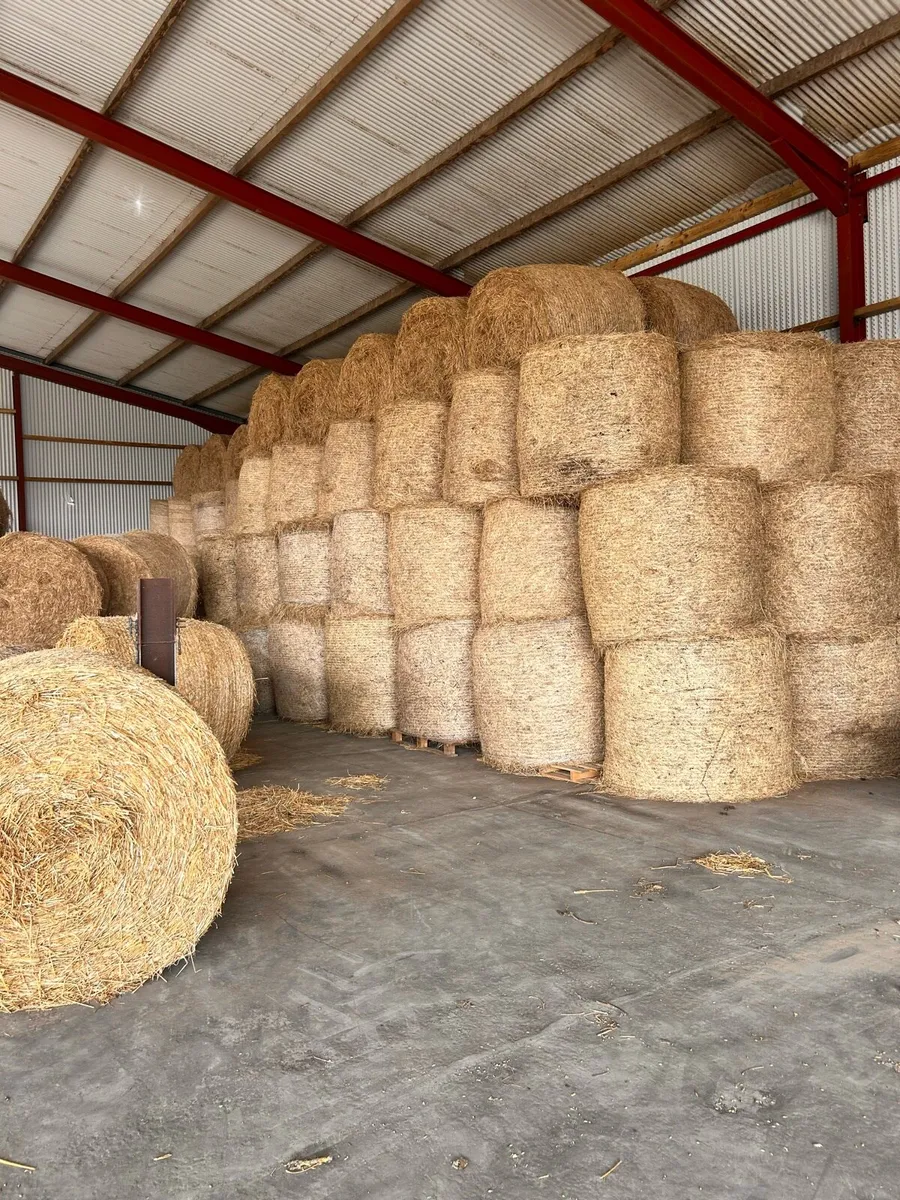 Hay - Image 1