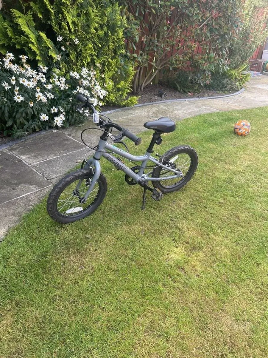 Ridgeback MX16 bike - Image 1