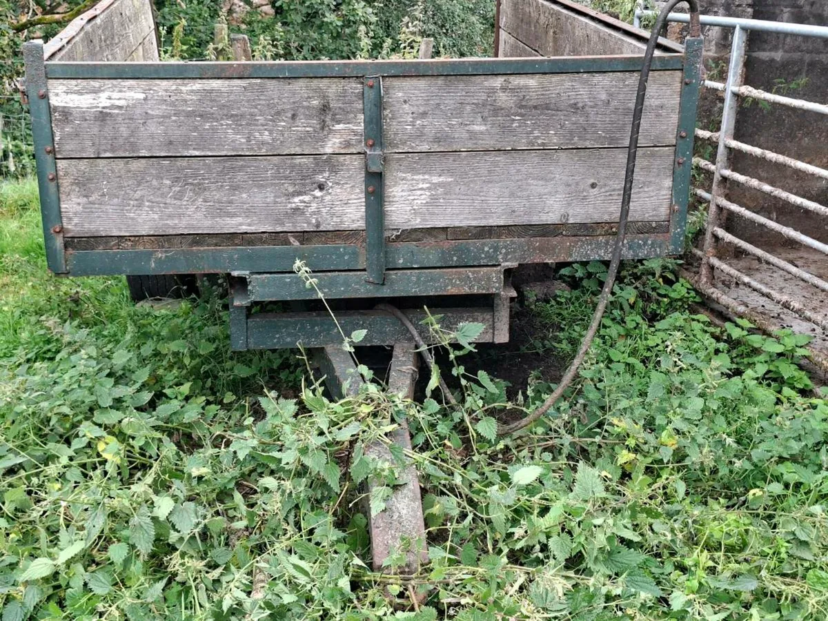 Turf trailer 10 x 6 Tipping tipper trailer - Image 3