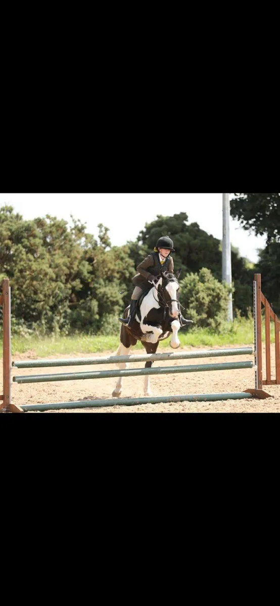 Perfect mother daughter pony - Image 1