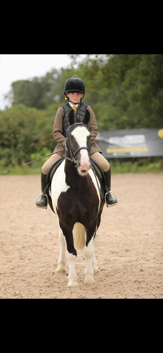 Perfect mother daughter pony - Image 3