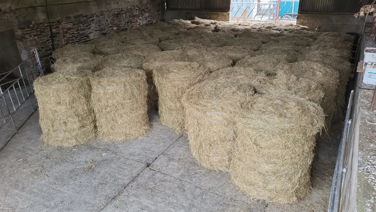 50 Bales of Hay 4' x 3'