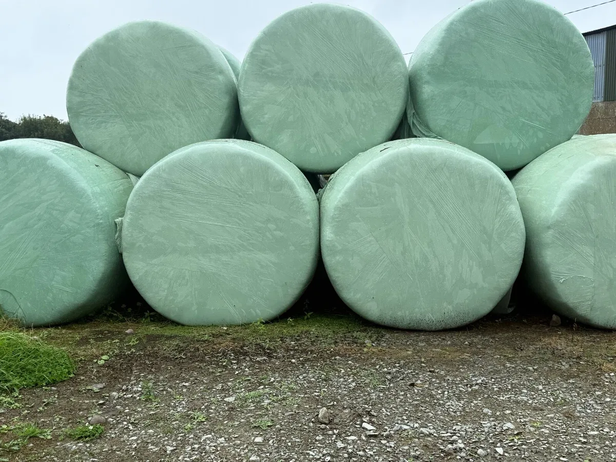Haylage bales for sale