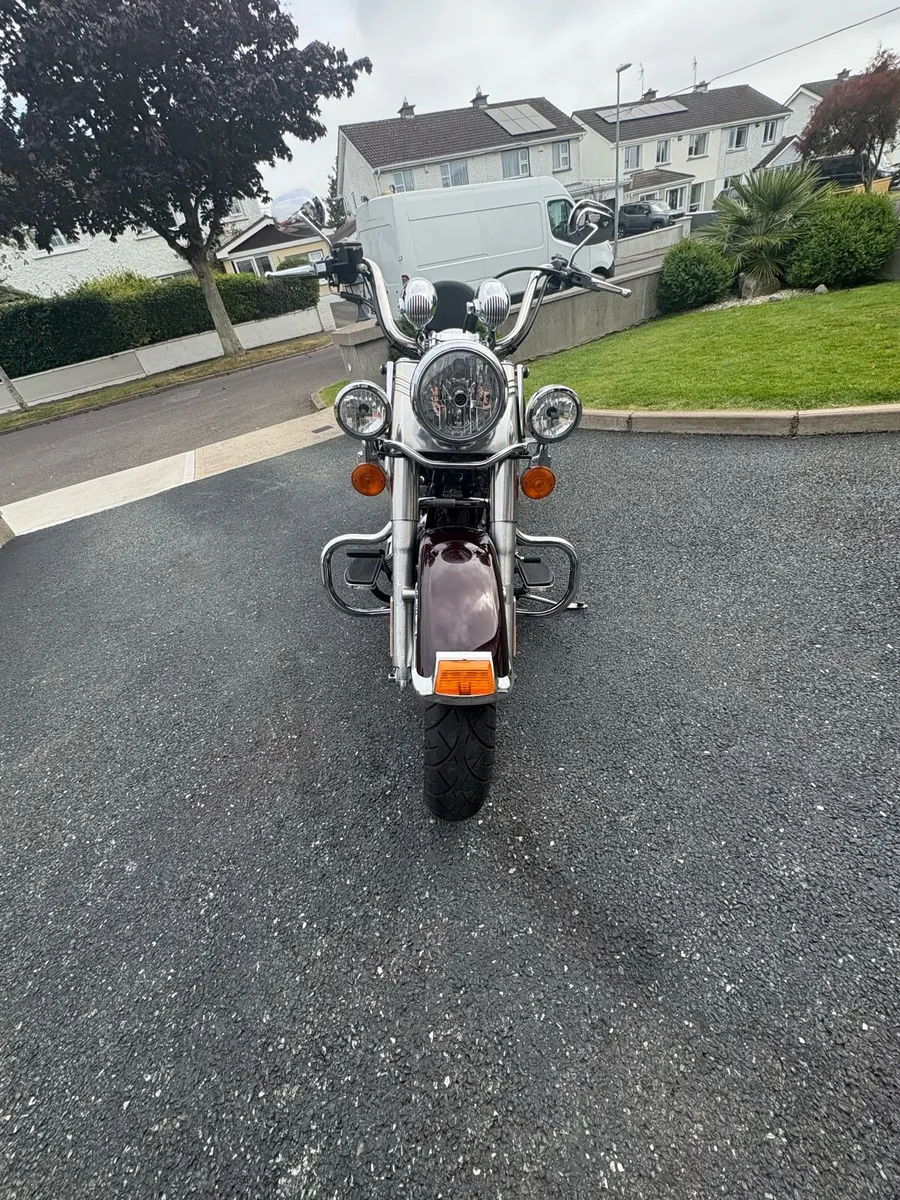 Harley Davidson - Image 2