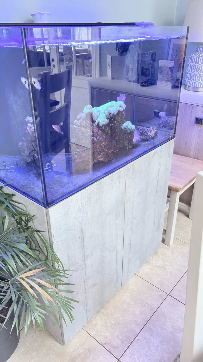 Reefsys 255 with sump reef Matt 500 €850 - Image 1
