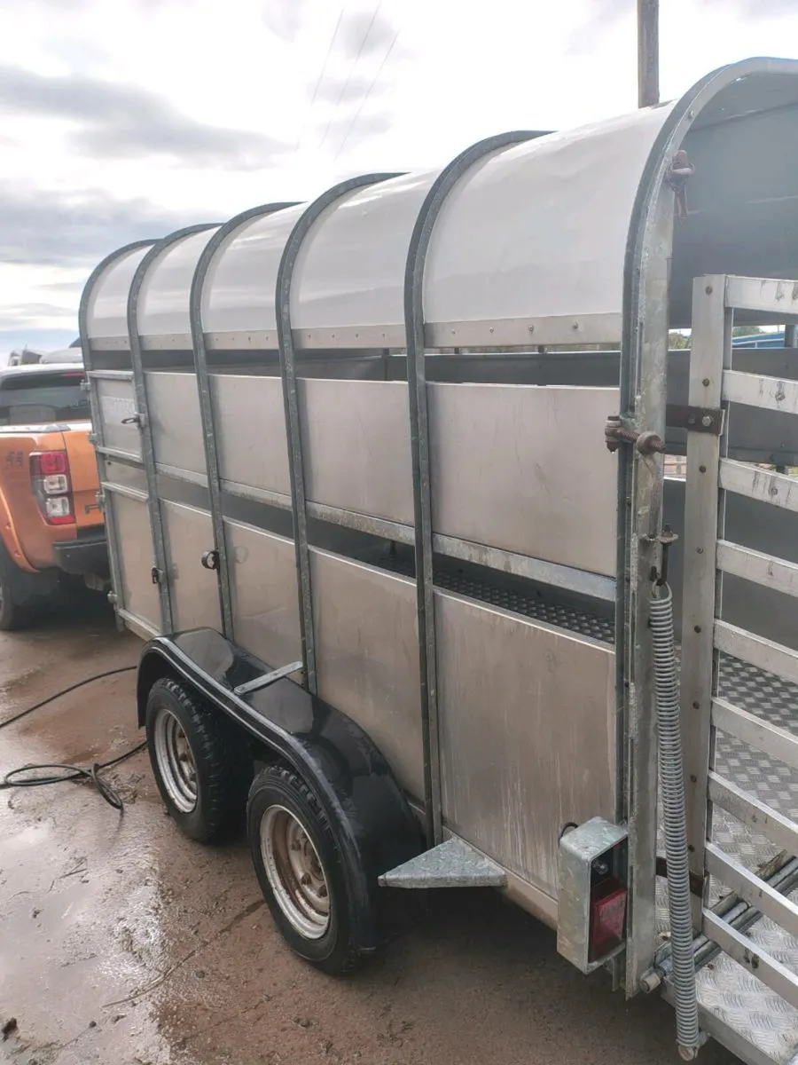 Nugent trailer - Image 1