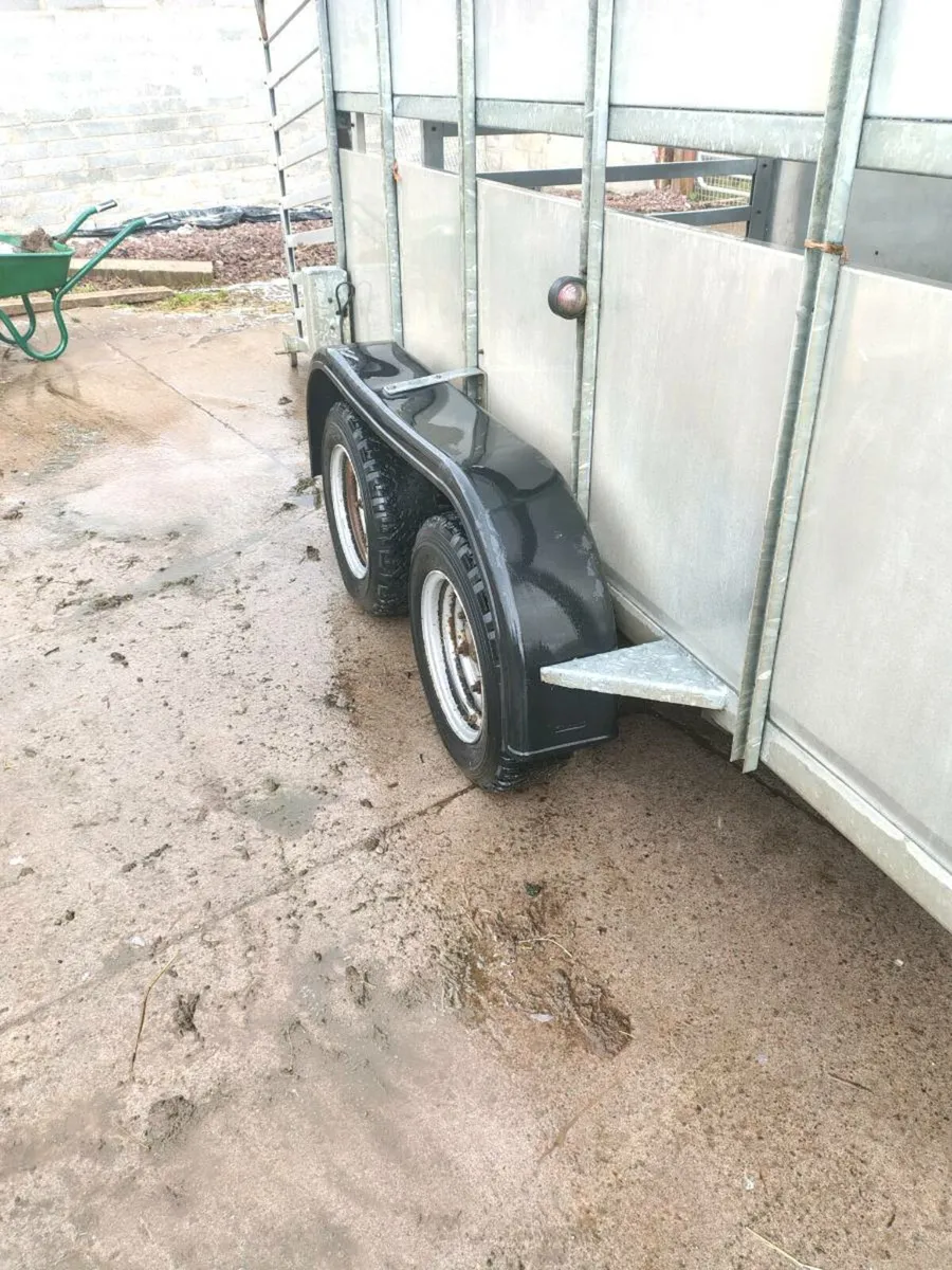 Nugent trailer - Image 2