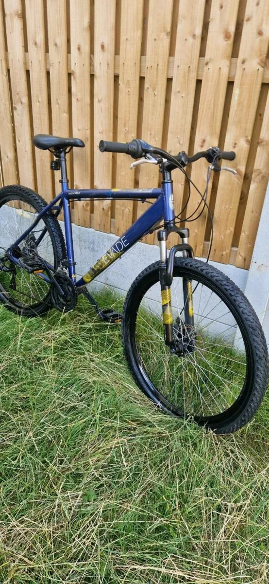 Apollo mountain bike (serviced)(delivery) - Image 2