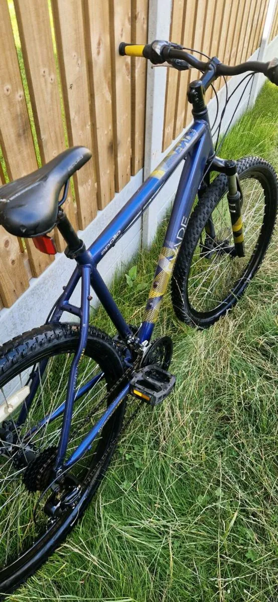 Apollo mountain bike (serviced)(delivery) - Image 4