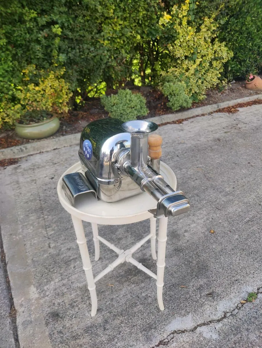 Angel Stainless Steel Juicer - Image 1