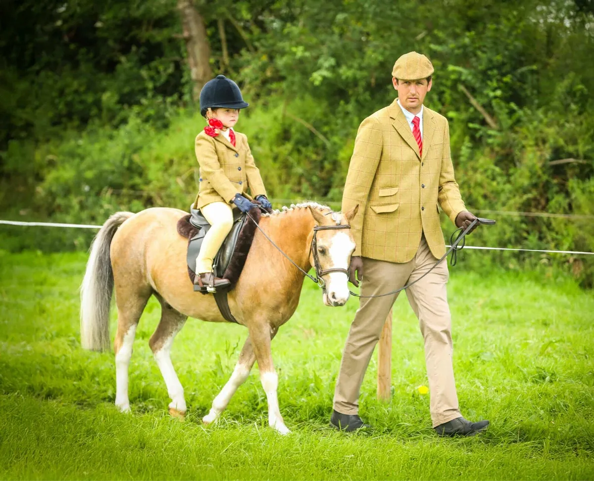 Lovely M&M Lead Rein Pony - Image 1