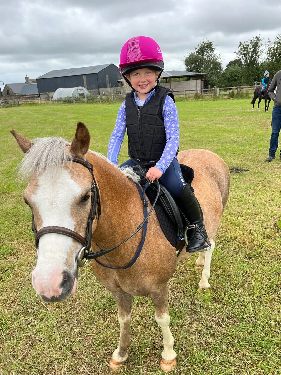 Lovely M&M Lead Rein Pony - Image 2