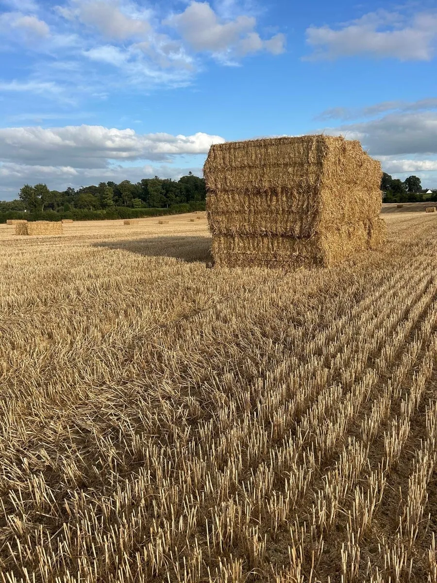 Wheaten  straw