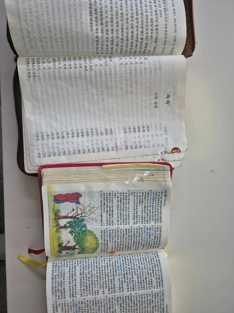 2 Korean catolic bibles - Image 2