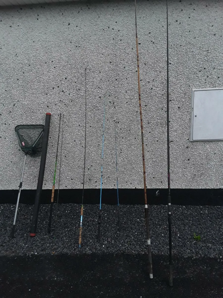 Fishing rods reels nets and bag   150e   the lot - Image 1