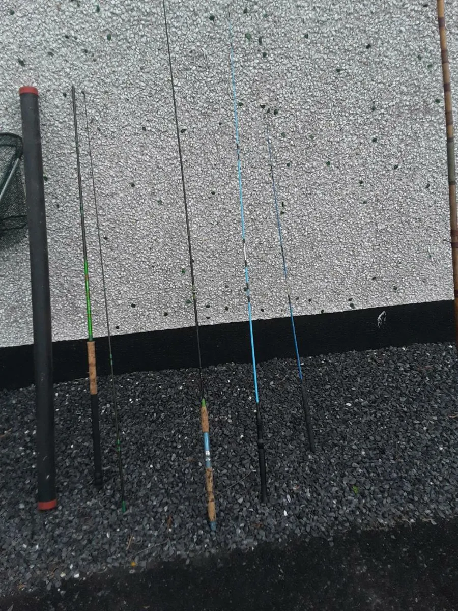 Fishing rods reels nets and bag   150e   the lot - Image 2