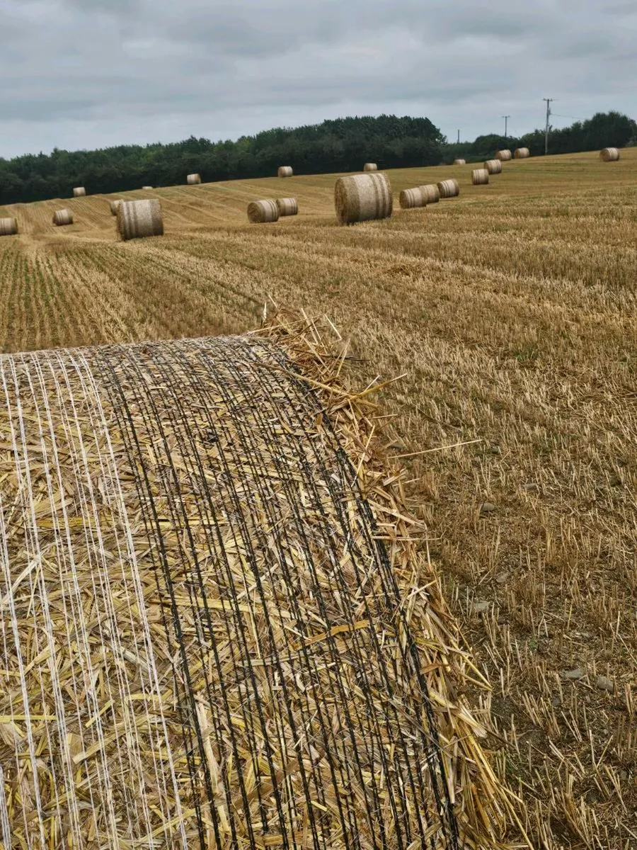 Straw - Image 1