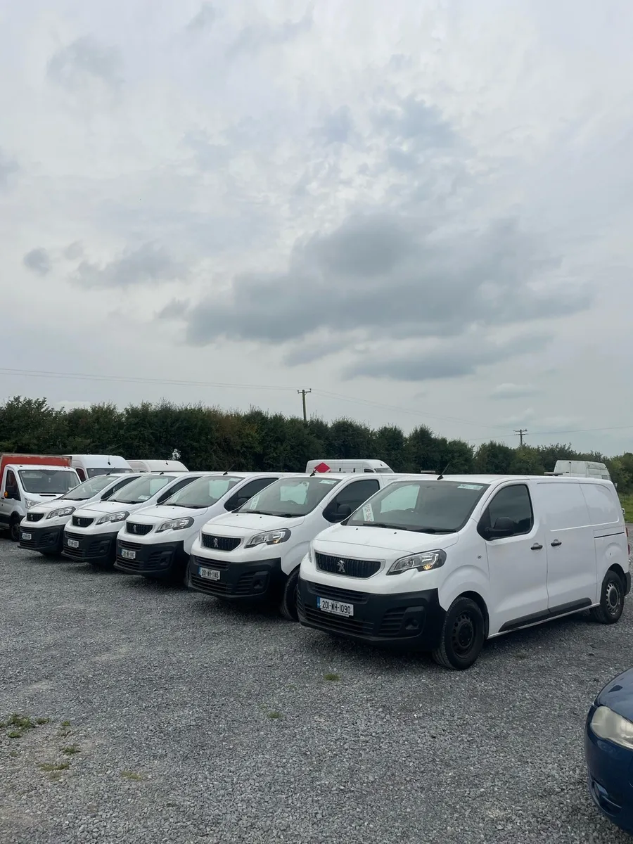Peugeot partners and experts for sale or lease - Image 1