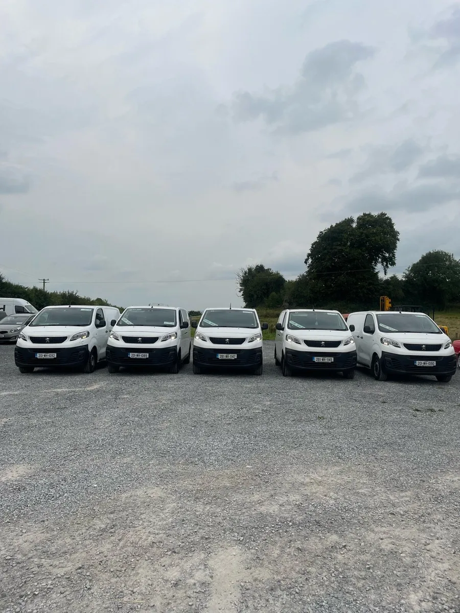 Peugeot partners and experts for sale or lease - Image 2