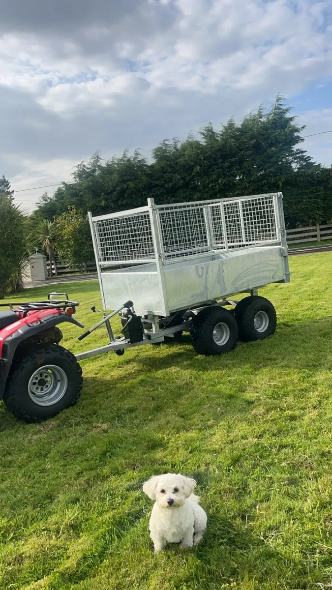 Honda 350 farm quad - Image 2