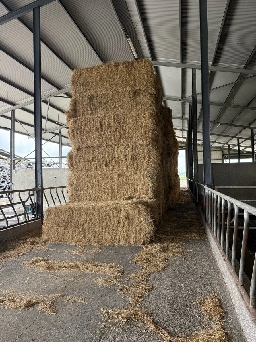 8x4x3 Horse hay & green soft hay - Image 1