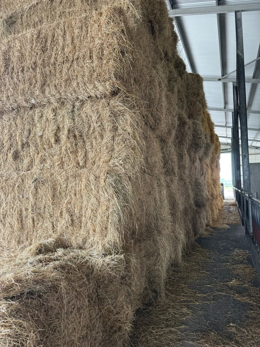 8x4x3 Horse hay & green soft hay - Image 2