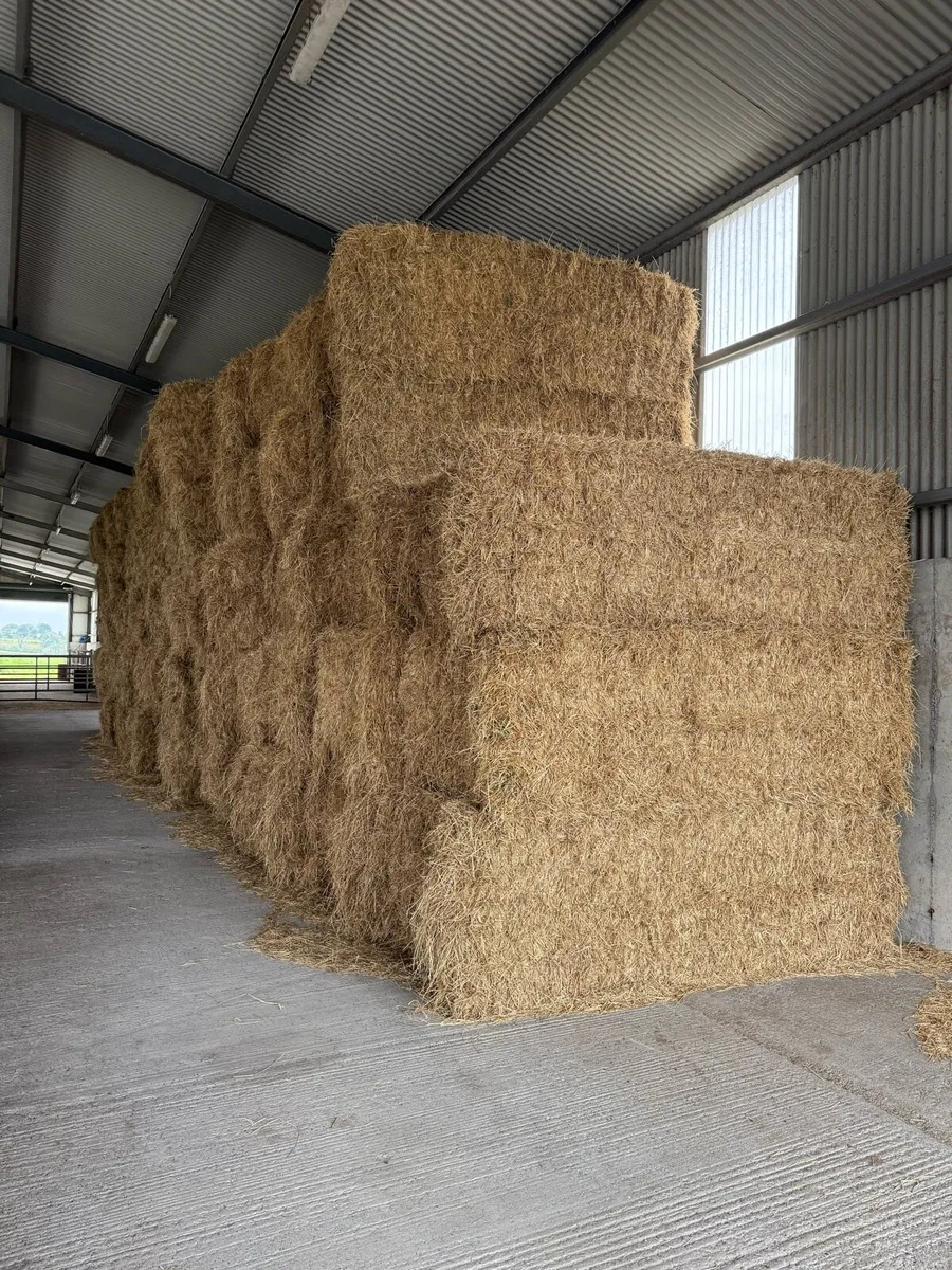 8x4x3 Horse hay & green soft hay - Image 3