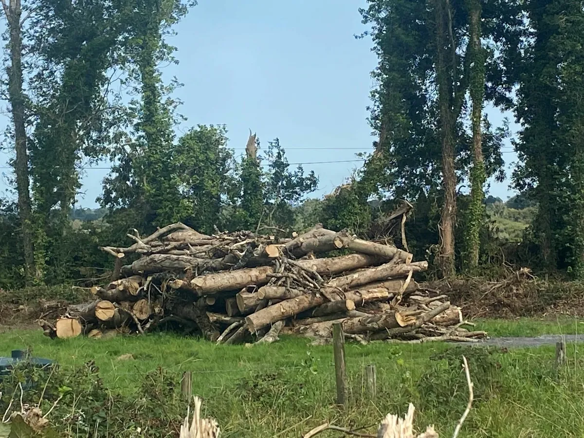 Timber for sale