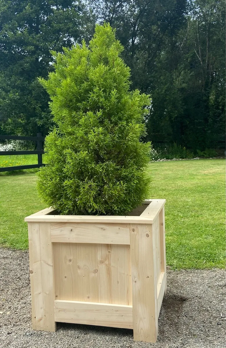 Planters outdoor indoor - Image 3